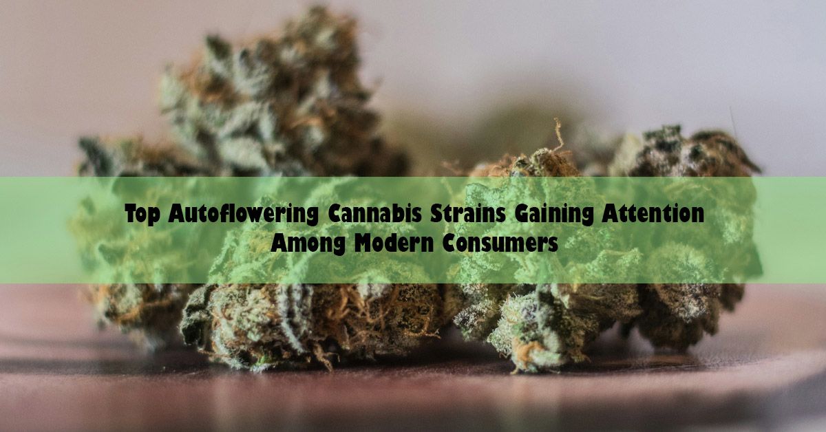 blog-wide-canabis-strains.jpg
