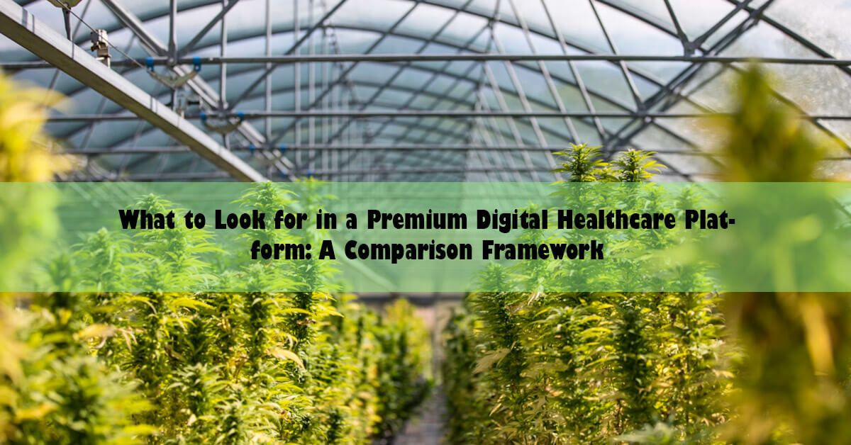 blog-wide-premium-helthcare.jpg