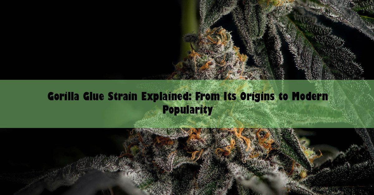 blog-wide-strains.jpg