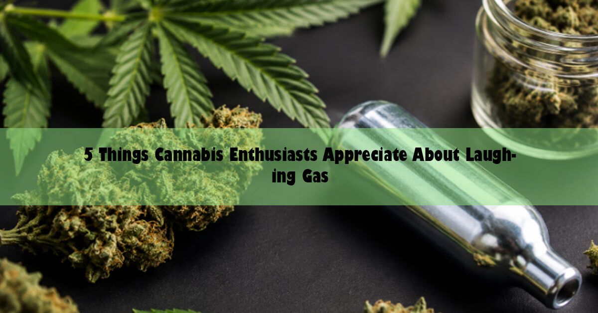 blog-wide-5-canna-things.jpg