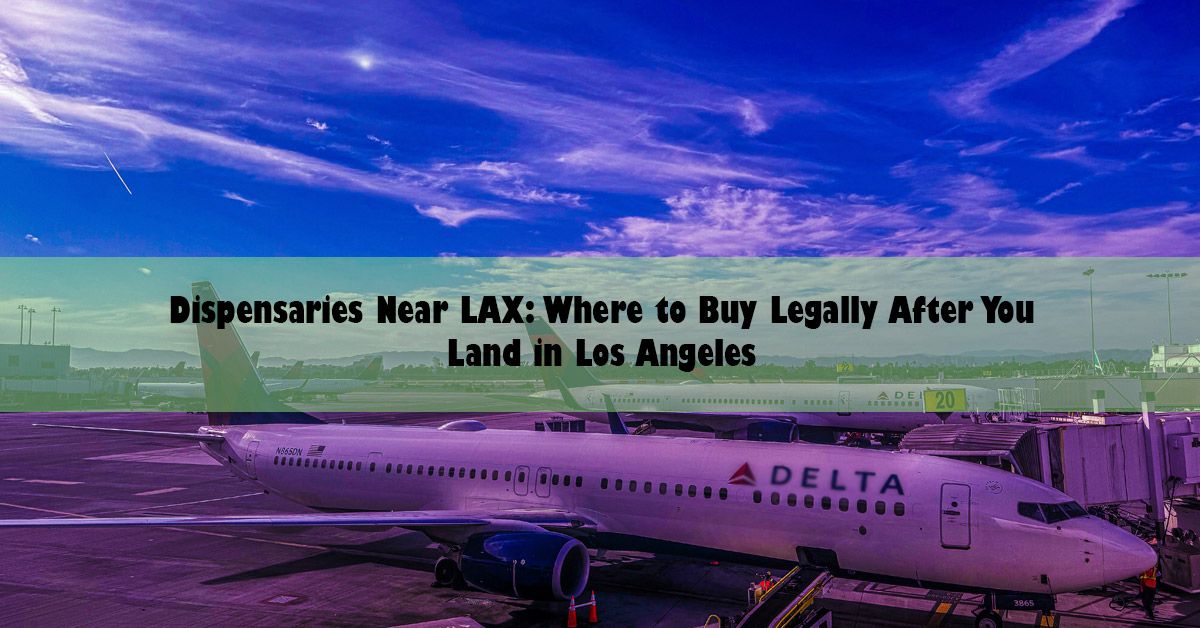 blog-wide-lax.jpg