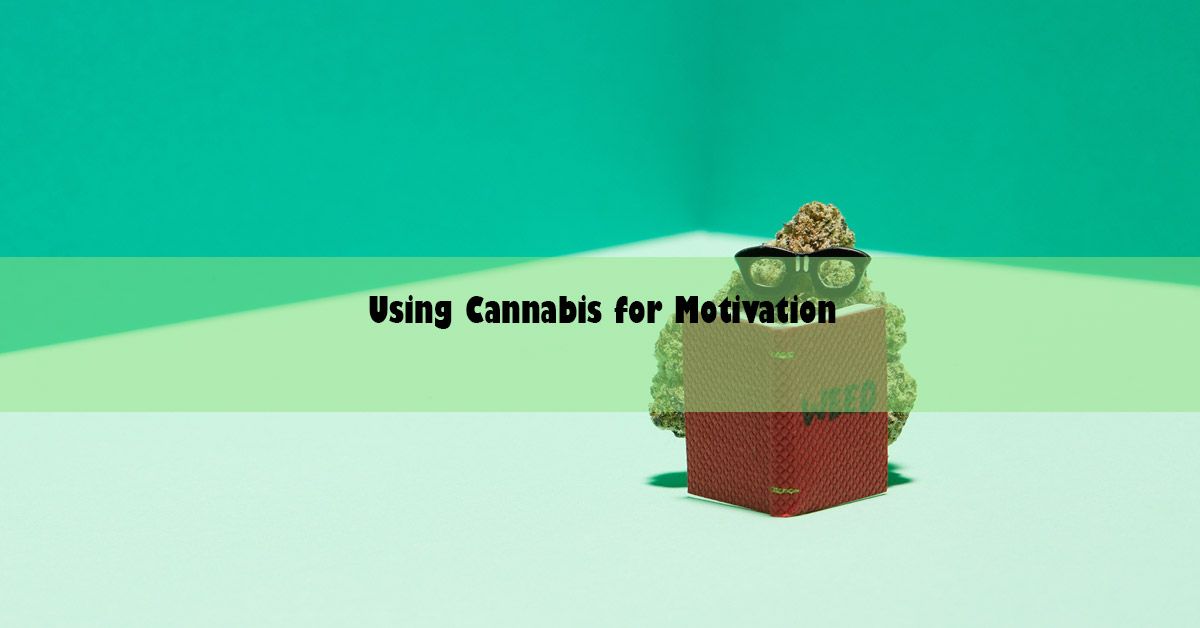 cannabis-strain-research-reading.jpg