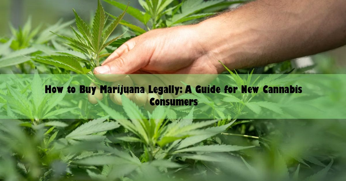 blog-wide-mmj.jpg