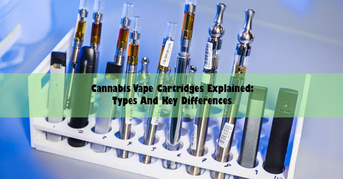 cannabis-vape-cartridges-explained-types-and-key-differences.jpg