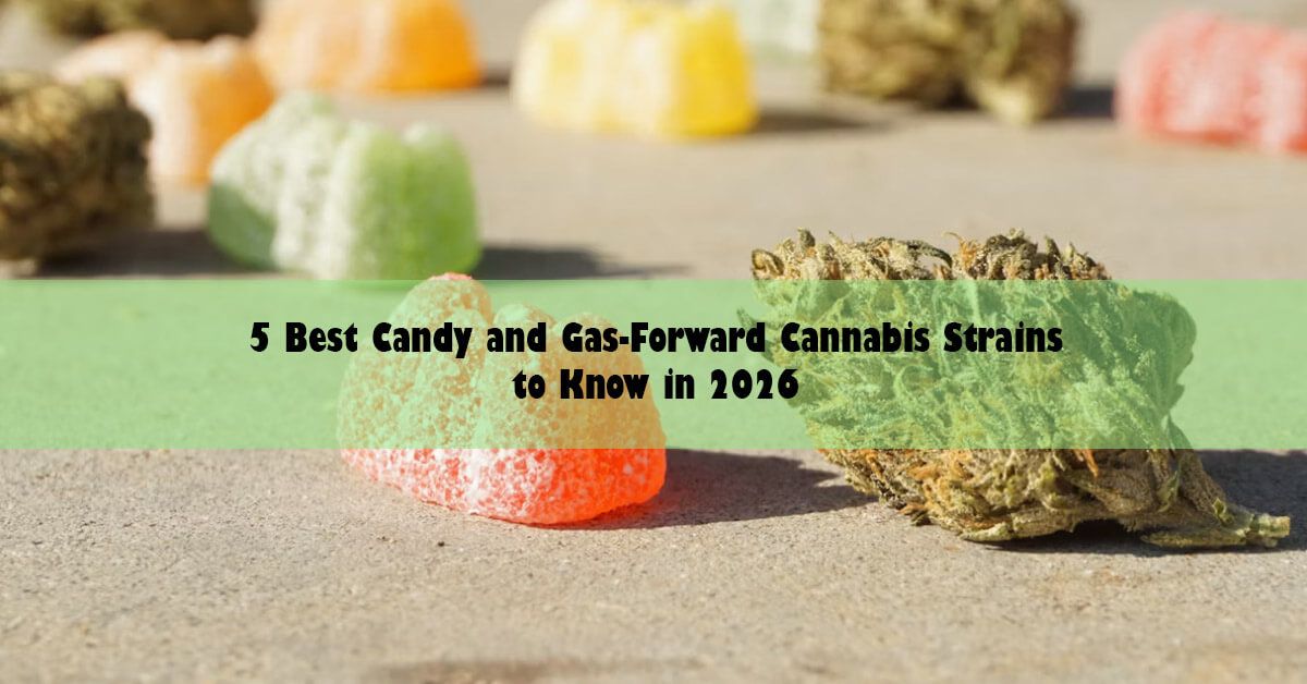 5-best-candy-and-gas-forward-cannabis-strains-to-know-in-2026.jpg